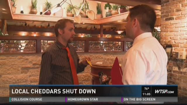 Brandon Cheddar's shut down
