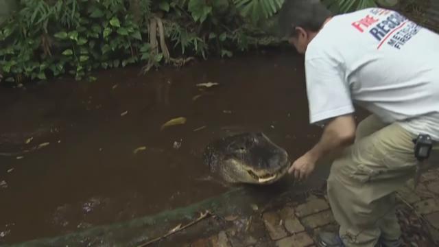 article preview image