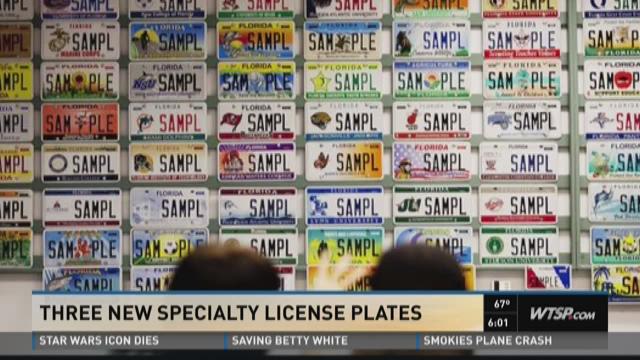 florida license plate lookup owner