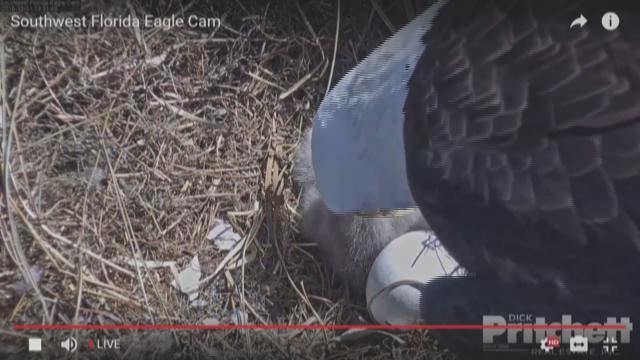 article preview image