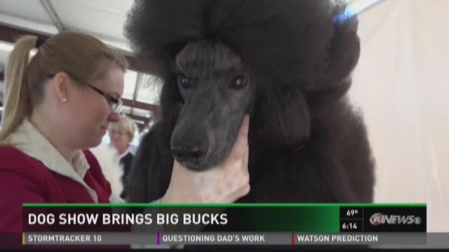 article preview image