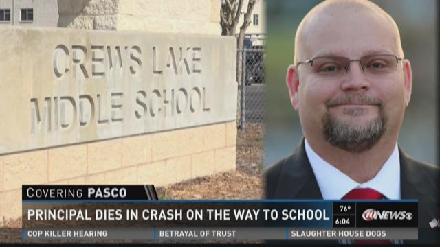 article preview image