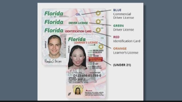 florida drivers license check with social security number