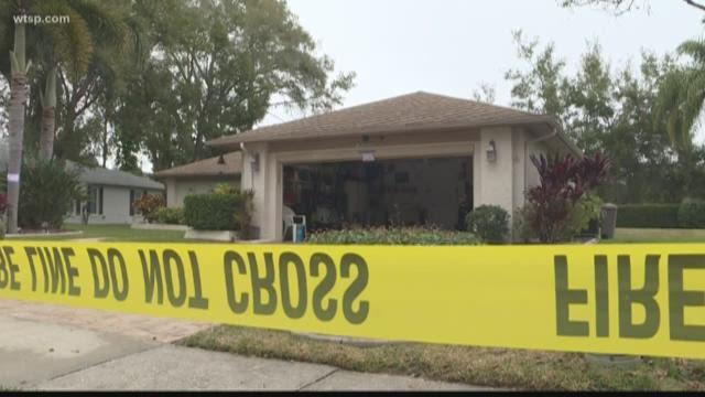 Palm Harbor Neighborhood On Edge After Possible Sinkhole Wtsp Com